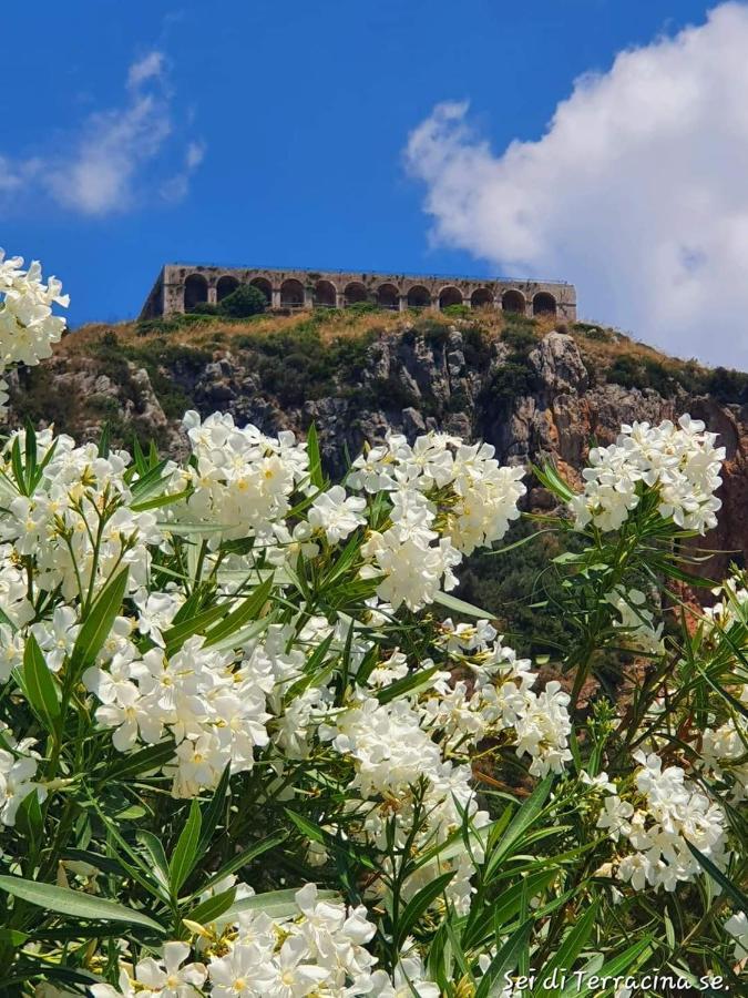 Vila Regina Sul Mare Terracina Exteriér fotografie